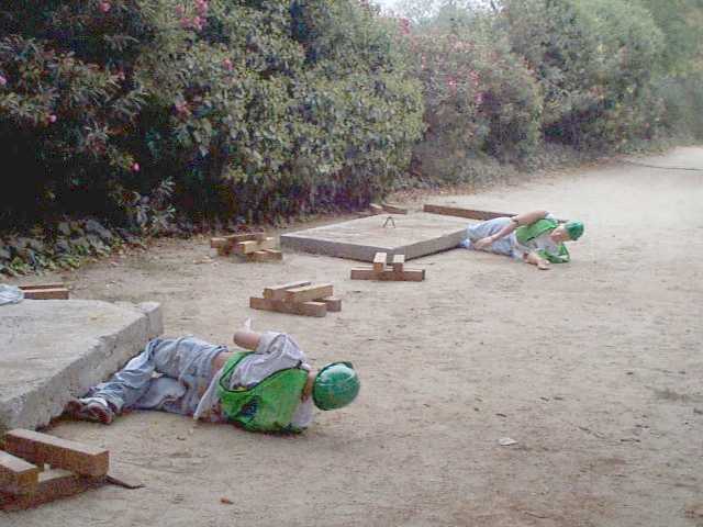 2001 Fall 12