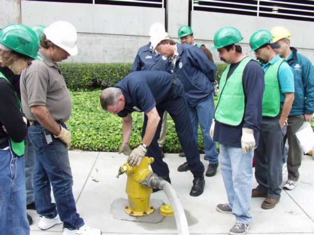 Overview of First Aid and Medical Triage